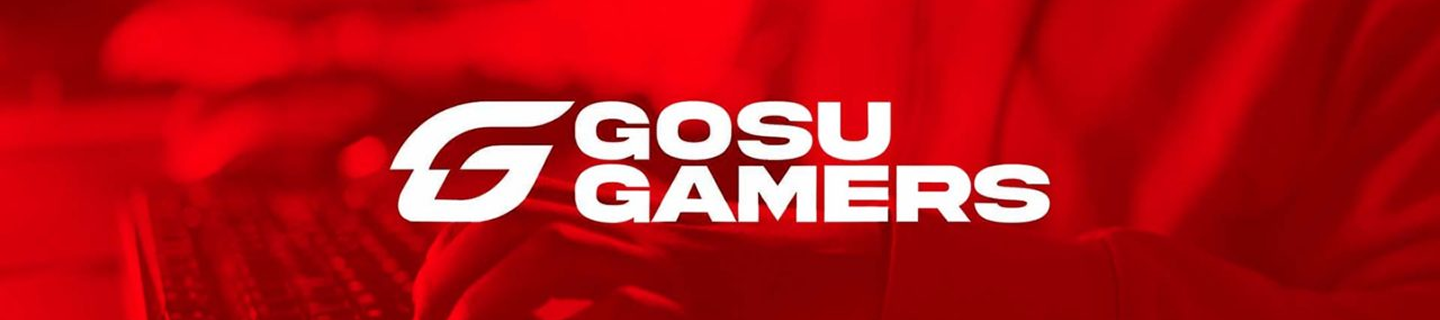 Gosu Gamers Banner